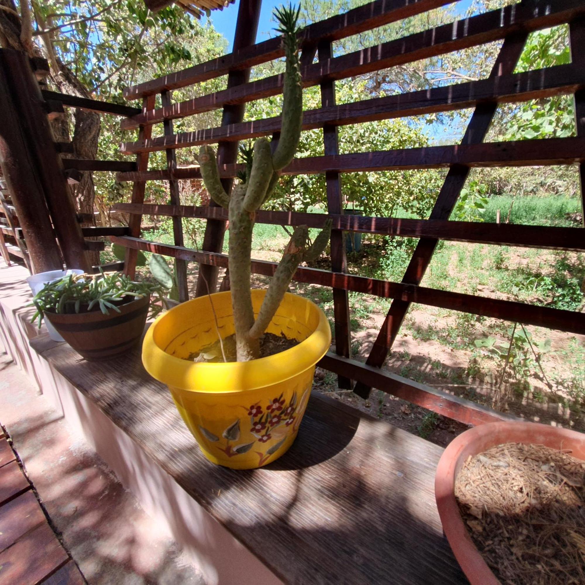 Willa Refugio Don Natu San Pedro De Atacama Zewnętrze zdjęcie